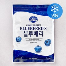 베리필드 칠레산 블루베리 (냉동), 1개, 1kg