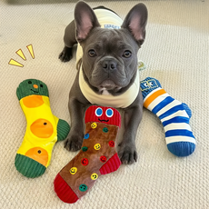 레몽크리프 강아지 소리나는 양말 장난감 3종 세트, 혼합색상, 1세트