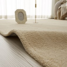 수앤우디자인 부드러운 극세사 단모 썸데이 러그