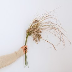 GAPANG 霧藍乾花DRYB251, 02白色