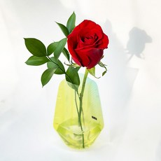 포켓플라워 생화 장미 한송이 세트, 레드