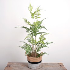 플라워마트 루모라고사리 조화나무 110 + 코튼 바구니, 혼합색상, 1세트