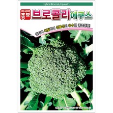 아시아종묘 브로콜리 에쿠스 씨앗 100립, 1개