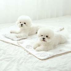 이츠독 반려동물용 포르페 쿨링 매트, 혼합색상, 1개