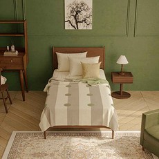 韓國 amante Super Fuzzy 綠色圓點毛圈毯 + 收納袋套組