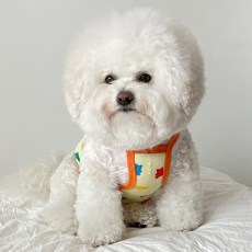 Baidamsumi 狗狗砰砰短版T恤, 橘色