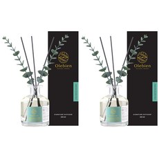 올레비엔 프리미엄 퍼퓸 디퓨저 실내용, 하와이언 골든프룻, 250ml, 2개