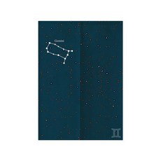 빈테리어 별자리 파티션 커튼 홈인테리어/싱글하우스 반품 최저가 19,270원