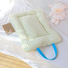 파스텔펫 반려동물 체크 극세사 쿠션, 그린, 1개