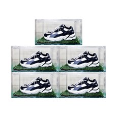 SCHWARZ KOREA 鞋子收納盒 5入+草墊 5入, 透明度