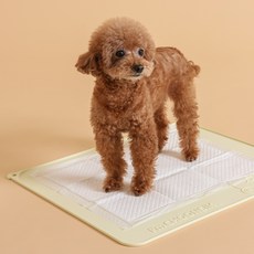 KAKAO FRIENDS 寵物矽膠便盆墊, 1個, 萬歲春植