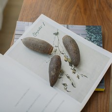 GAPANG 乾燥花 DRYB182 04號, 灰色