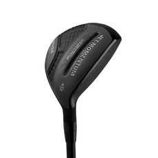 MIKADO Jet Momentum 鐵木桿, R, 22度