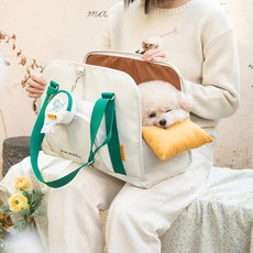 몽모아티 어썸백 반려동물 이동가방 소프트 캐리어, 그린, 1개