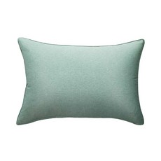 Palm Decor Monday 防過敏枕頭套