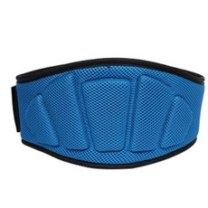 앞날창창 헬스 리프팅 스쿼트 서포트 벨트, 1개, 블루