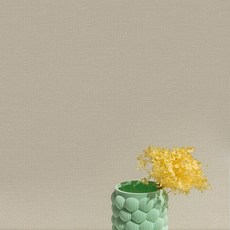 Home&Deco 用水黏貼DIY合紙壁紙, 可可米色(49593-04)