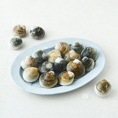 바다림 서해안 생물 모시조개 (냉장), 1개, 400g 1개, 400g