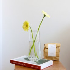 Haru Gonggan 造型玻璃花瓶, 透明