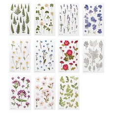 Appree 壓花貼紙11款套組 B, 混合顏色, 1套