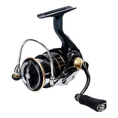 DAIWA 19彈道FW LT, 混色, 2500S-C