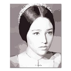 ADICO DIY繪畫朱麗葉的等待PFF15 40 x 50厘米, 混合顏色