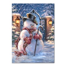 ADICO DIY 繪畫紳士雪人 PH36 40 x 50cm, 混色