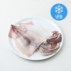 바다찬찬 국내산 통통 손질오징어 2~3미 (냉동), 1개, 500g