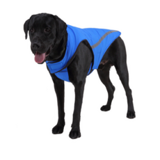 비제스코 반려동물 야간 바람막이 산책 쪼기 하네스 VIB-14, 블루, 1개