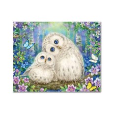 ADICO DIY 鑽石畫 快樂貓頭鷹 40 x 50 cm BEE15, 混色, 1個