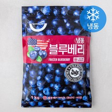세미원 미국산 블루베리 (냉동), 1개, 1kg