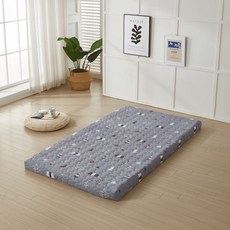 SKYSHOP 프리미엄 매트리스, 그레이, 10cm