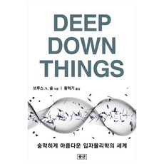 딥 다운 씽즈:숨막히게 아름다운 입자물리학의 세계, 승산, 브루스 A. 슘