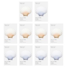 Appree Sticky Leaf 貝殼基本款便利貼 S 2入組, 藍色, 橘色, 5套