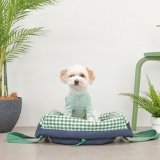 BETTERS 寵物舒適外出包, 1個, 綠色格紋