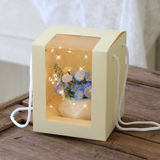 센트바스켓 조화 모스 데이지 미니 화분 LED조명 상자 세트, 블루, 1세트