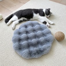 데이소이 고양이 럭셔리 쿠션, 07 그레이 원형, 1개