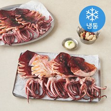 바다온 반건조 오징어 10미 (냉동), 1개, 1.5kg