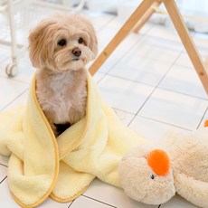 MY FLUFFY 寵物乾洗單張毛巾, 黃色, 1個