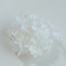 永生花 不凋繡球花 2入, 奶油色