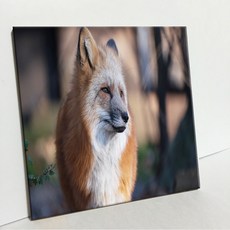 UDP 磁磚相框 A型 3910748, 單一顏色