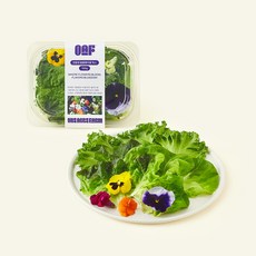 원에이커팜 무농약 인증 블룸 팬지꽃 믹스, 100g, 1개, 1개입