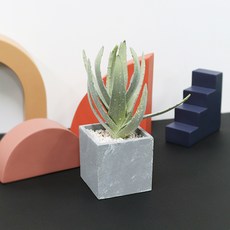 페이지127 데코 칵투스 조화 선인장, B타입, 1개