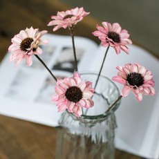 GAPANG 乾花 DRYB09904, 04號（粉色）