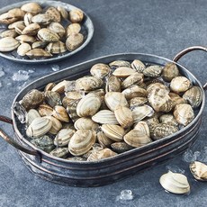 노량진수산시장 바지락 (냉장), 1개, 1kg