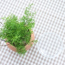모리앤 아크릴 화분 받침, 투명, 2개