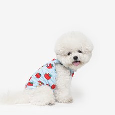 TUSTUS 狗狗網眼夏季背心T恤, 1個, 天空藍