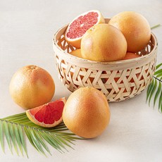 다조은 남아공산 자몽, 1개, 3kg(8~10입)