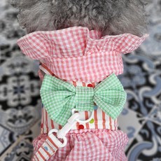 Coco studio 狗狗頸胸帶 + Waikiki胸背帶套組, 1套, 橘色