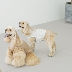 플리다스 강아지 투게더 논슬립 코지 매트, 클라우드, 1개